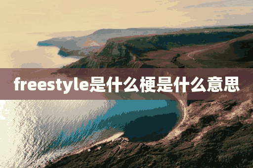 freestyle是什么梗是什么意思